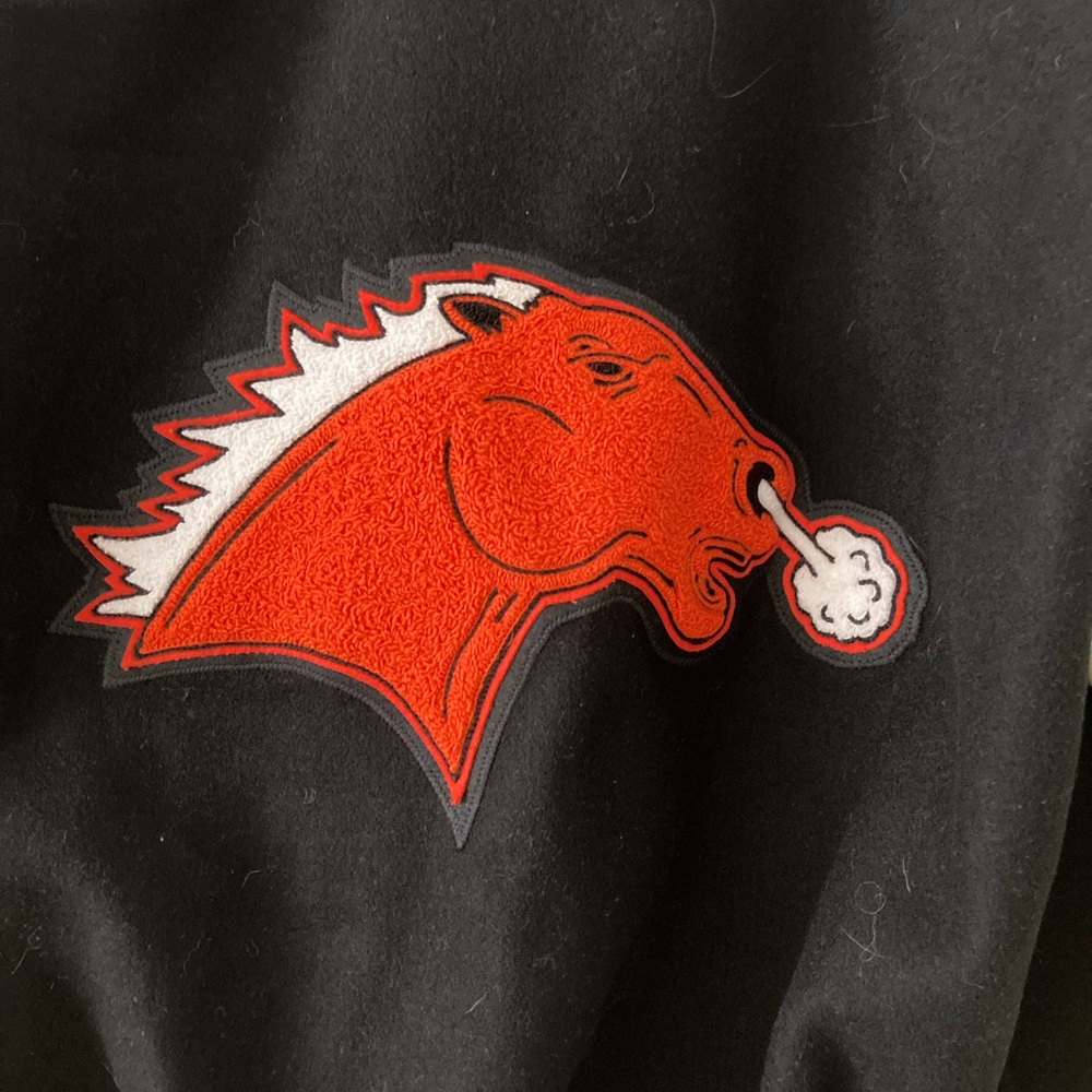Varsity Letterman’s Jacket - Picture 4 of 12